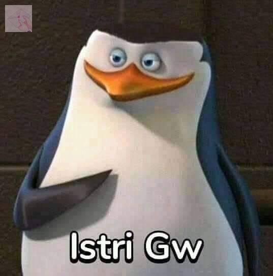 JAPANFESS tweet media