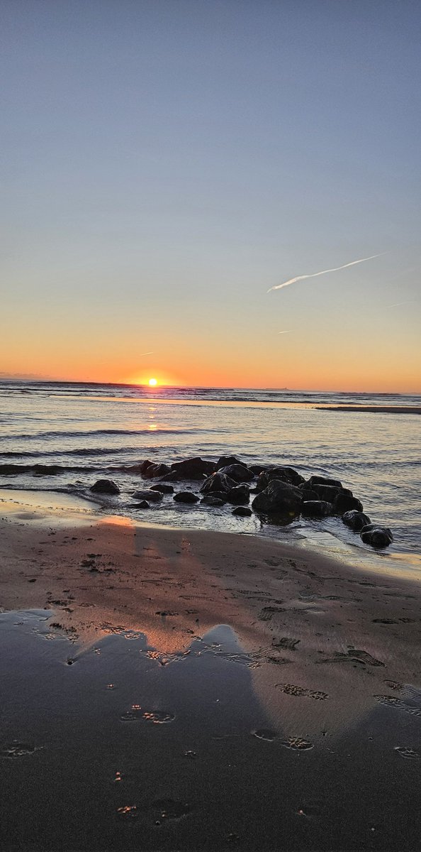 Suzie Fisher tweet media