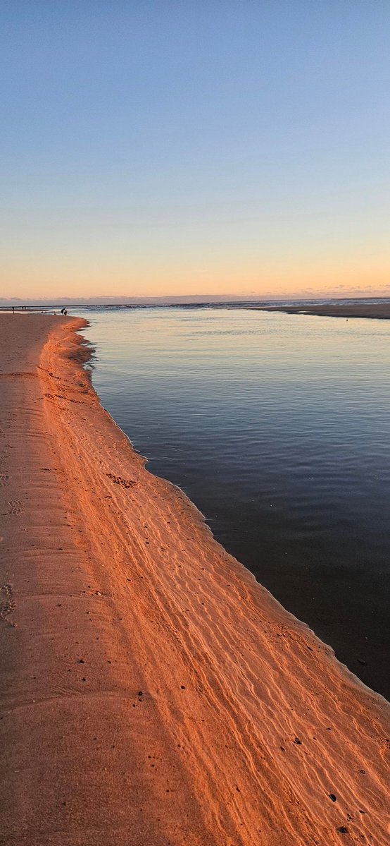 Suzie Fisher tweet media