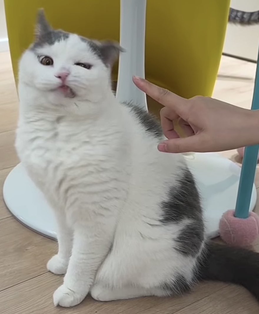 PsychopathhunterVT tweet media