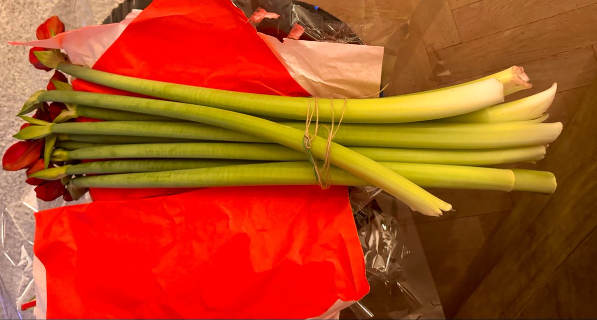 sibeleth's tweet image. My sister sent me some 1-meter-long leeks for the new year.

She claims these are flowers.