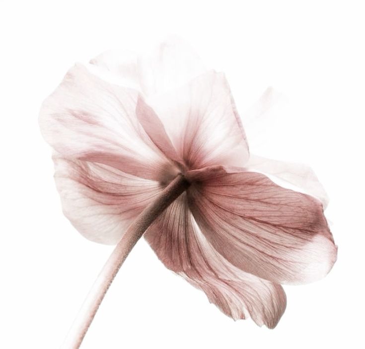 electrca's tweet image. hi testt #zonauang