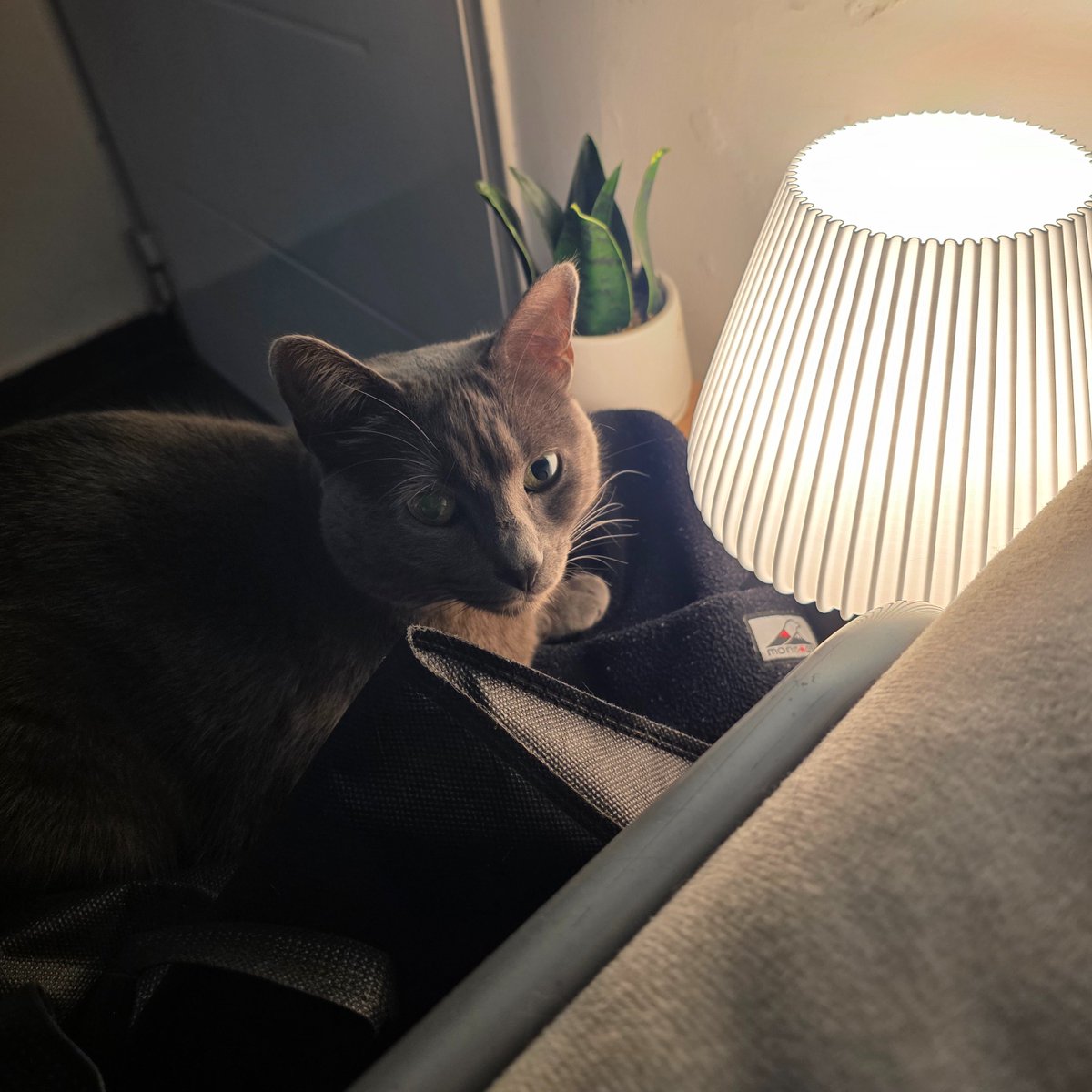 B4IT STUDIO tweet media