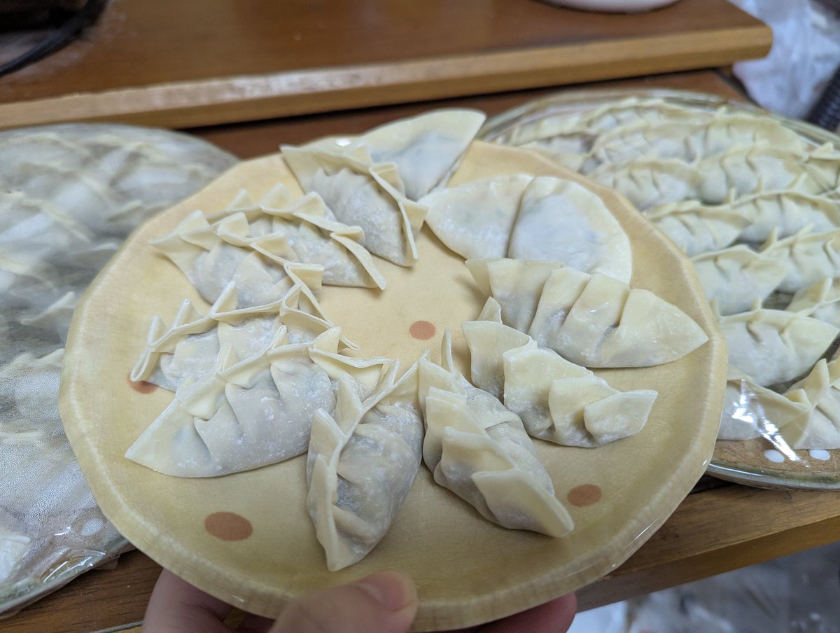 ume_mgmg's tweet photo. 今年もありがとうございました
画像は衝動的に作った餃子です https://t.co/jUKX5cAnBx