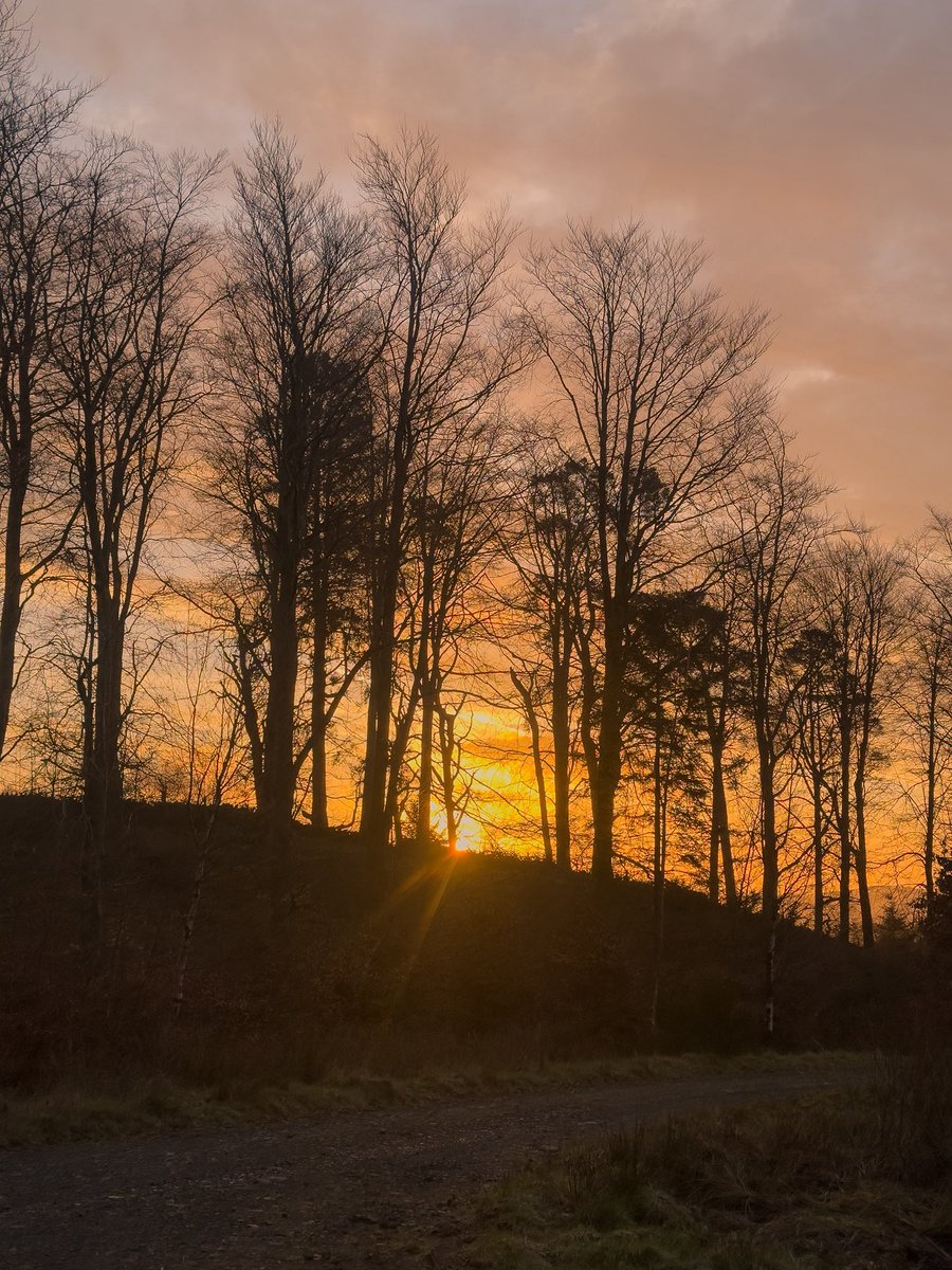 Dan Bell tweet media