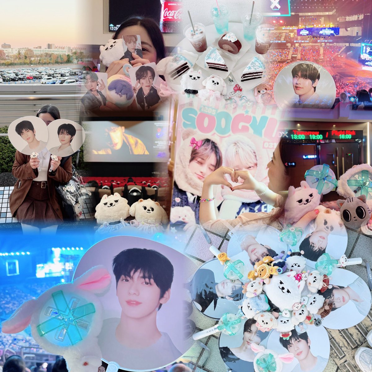 🎀 tweet media