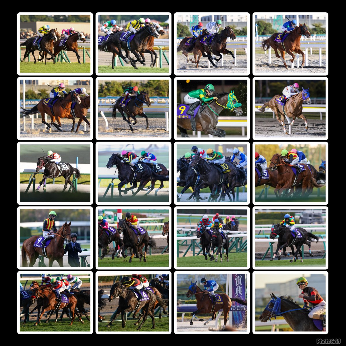 2025年競馬写真集 〜 2025年も最高な瞬間に沢山出会えました✨️いいね