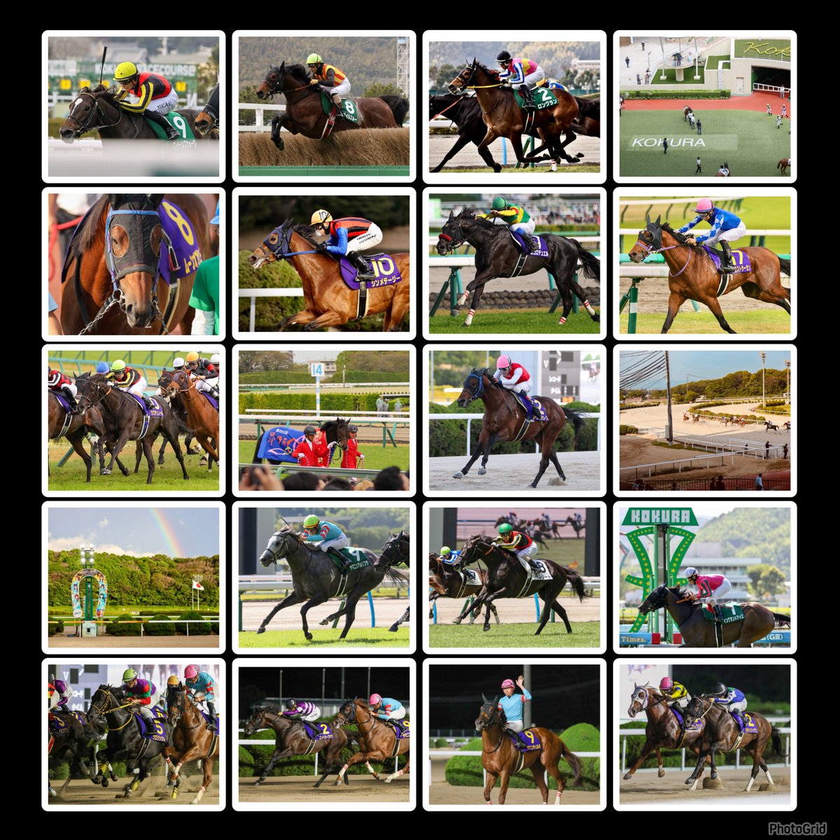 2025年競馬写真集 〜 2025年も最高な瞬間に沢山出会えました✨️いいね