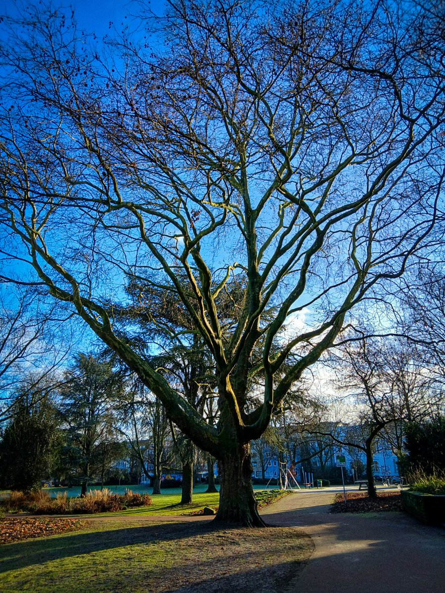 In the New Year, never forget to thank your past years because they enabled you to reach today! Without the stairs of the past, you cannot arrive at the future.

Mehmet Murat Ildan