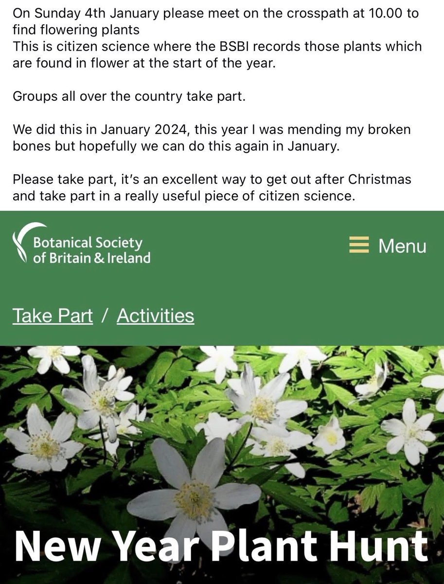 Friends of Woolwich Common tweet media