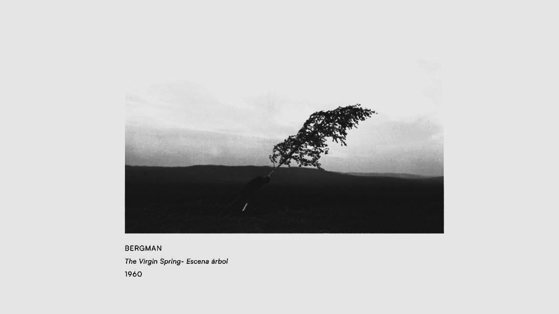 Hyunjinr's tweet image. ( 𝟯𝟲𝟱.... ) As the day comes to an end, I’m prepared to begin a new chapter and just havin experienced many unforgettable moments—particularly this meaningful comeback, it perfectly holds great significance for me as it reflects numerous achievements.