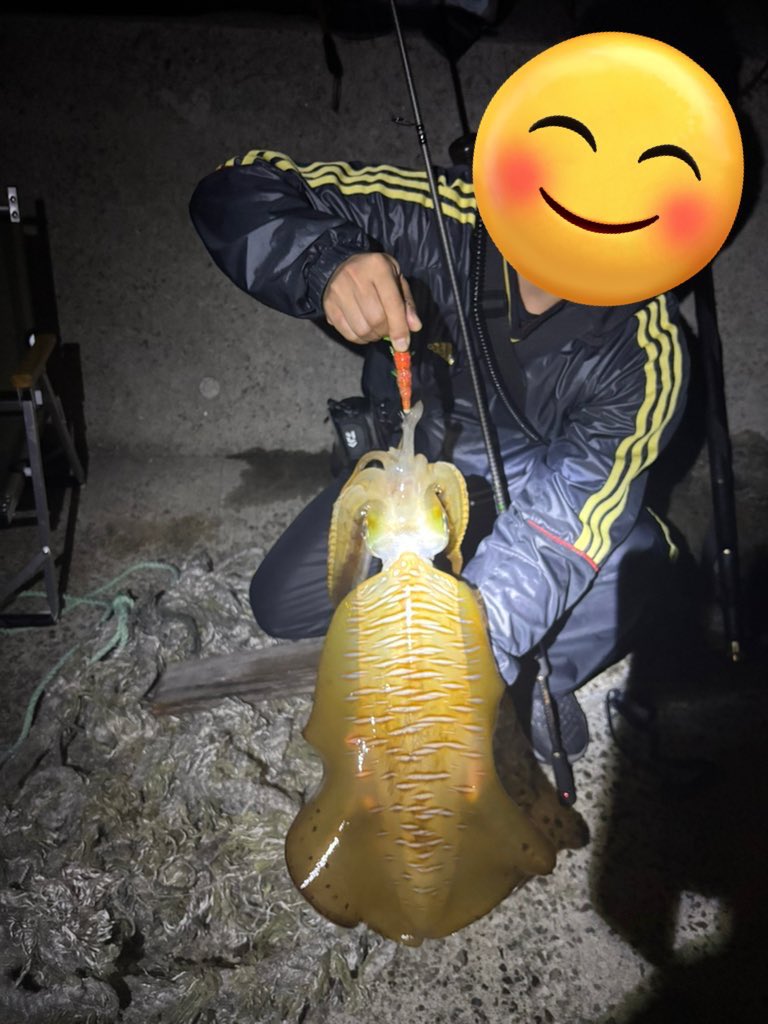 squid176000 tweet picture