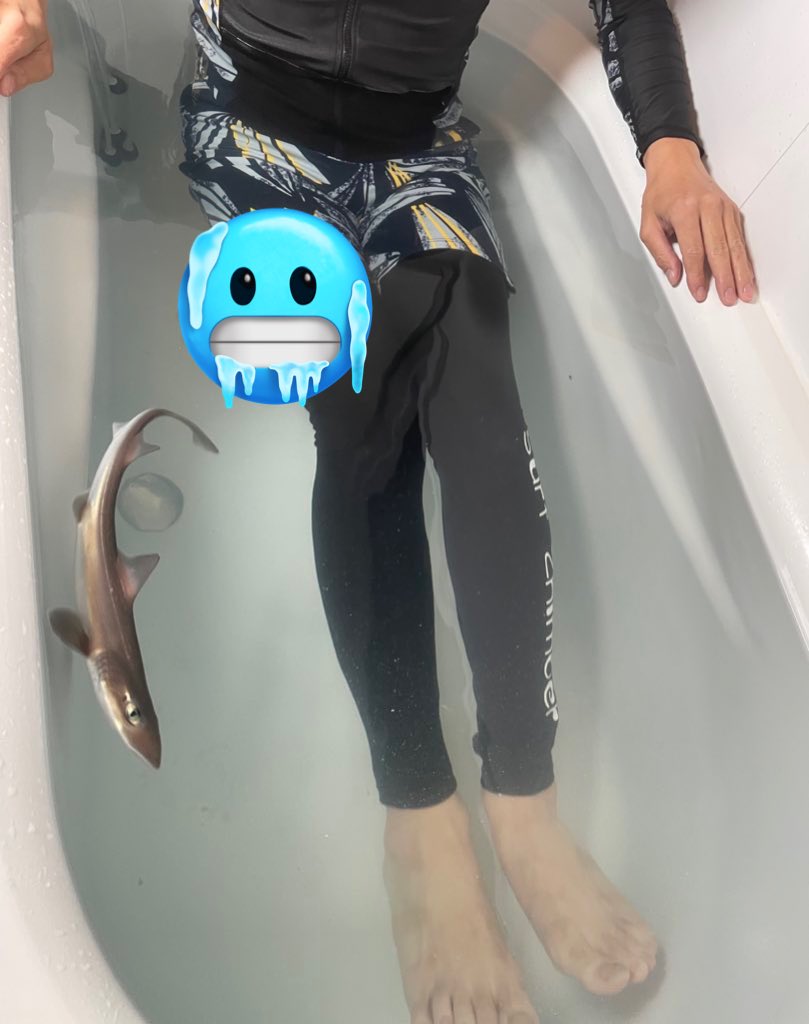 おーちゃん (@Ohchan_sub) / Posts / X