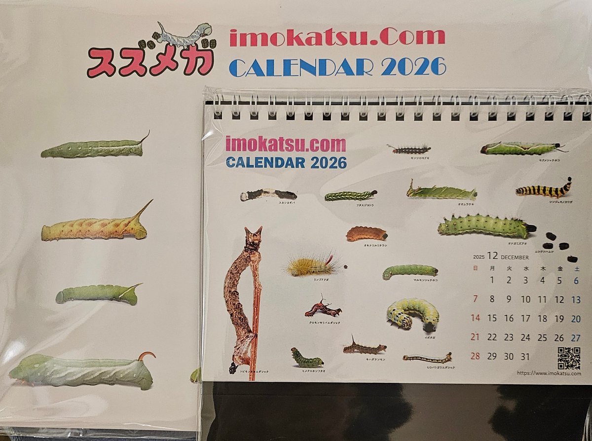 suz_mar_'s tweet photo. 来年のカレンダー。スネークセンターのはブラックマンバのぬいぐるみ付きを購入。かわいい🐍 https://t.co/NslcdJrPnD