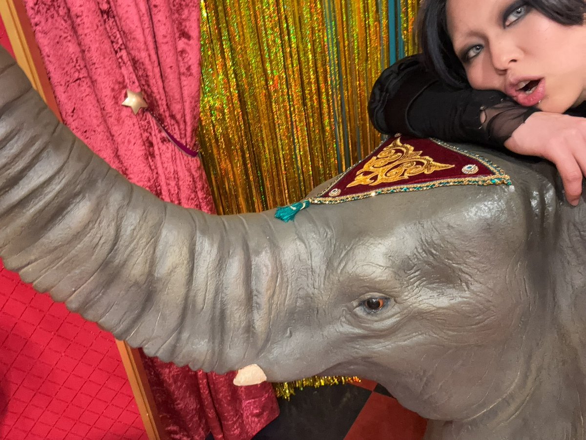 existtraceMally's tweet image. 2025はサポート、ドラムイベ、配信含めて行ったライブは67本！去年より16本少なかった！人間ドックもB判定🔥

ついてきてくれたみんな！遠くから気持ち飛ばしてくれたみんな！本当にありがとう！

体調管理に気をつけて、これからもみんなと沢山の笑顔の時間を過ごしていけるよう程良く頑張ります笑