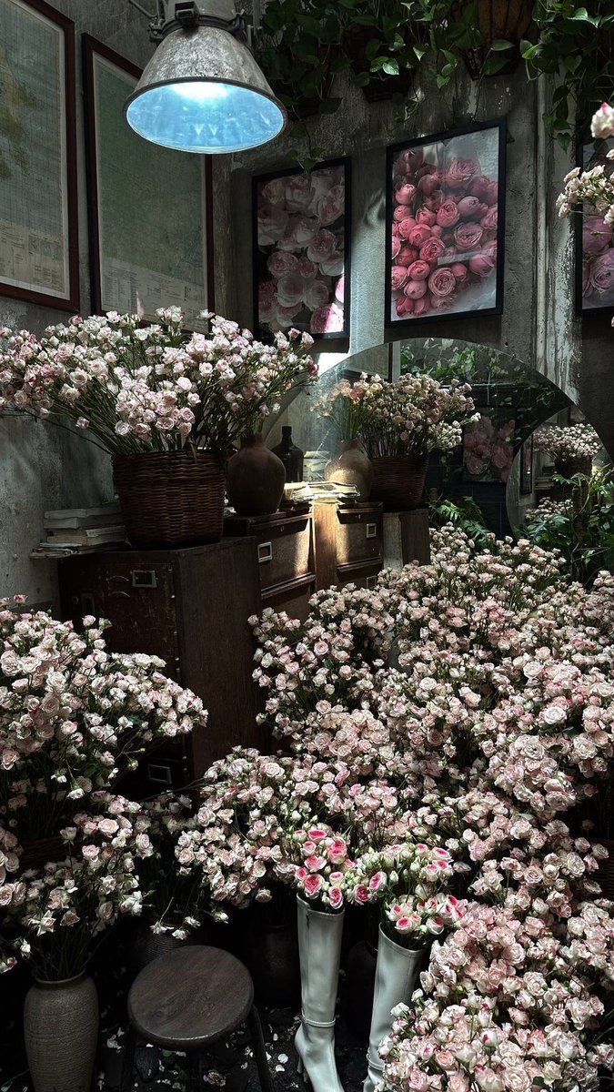 1leio's tweet image. 