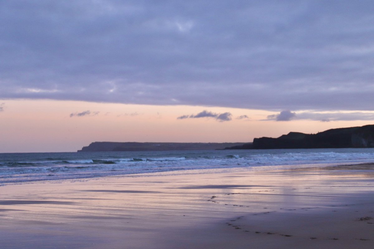 Edel Mairs tweet media