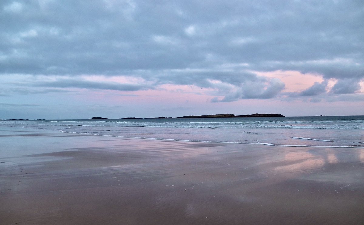 Edel Mairs tweet media