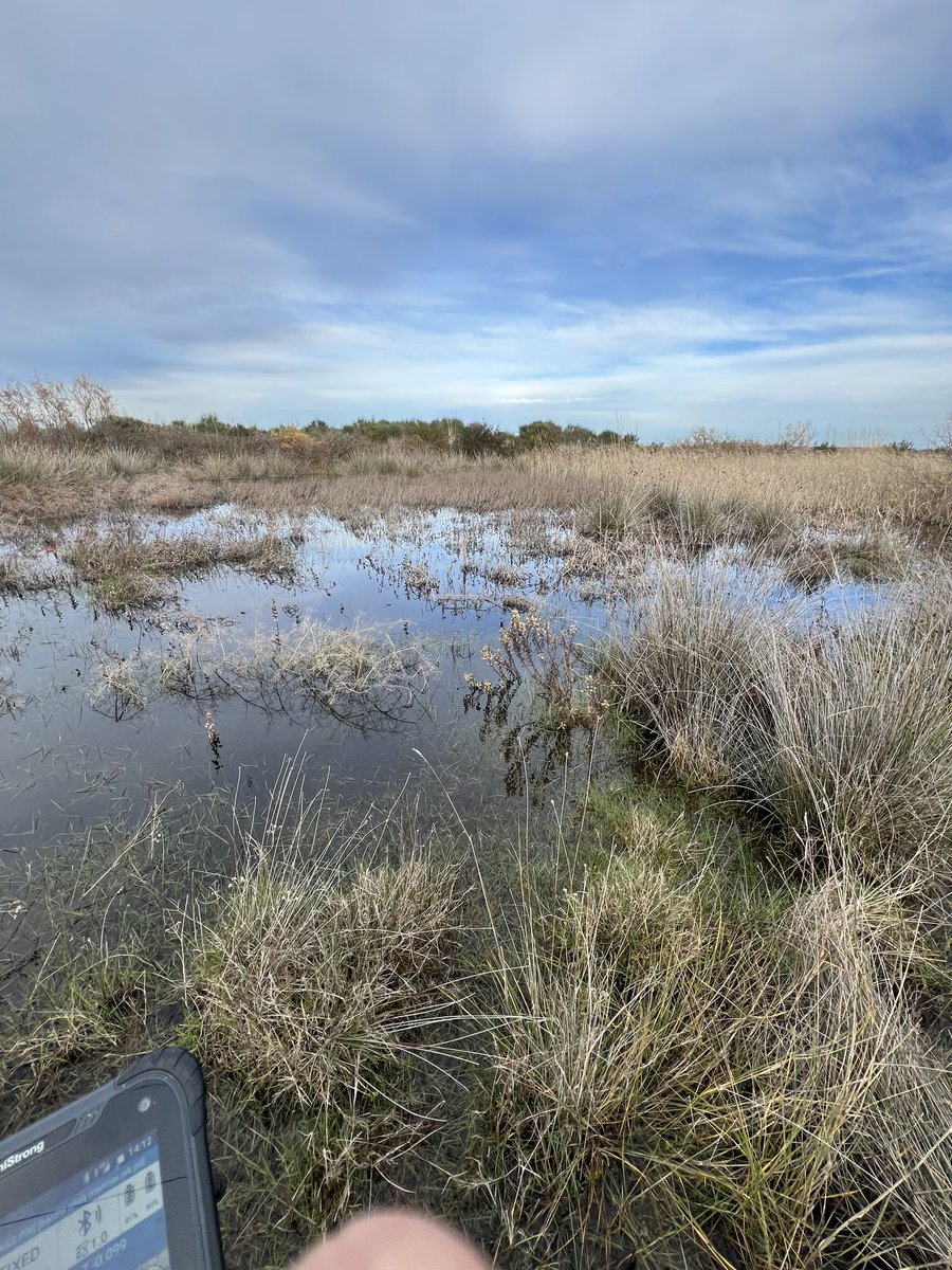 BunkermanV2's tweet image. 