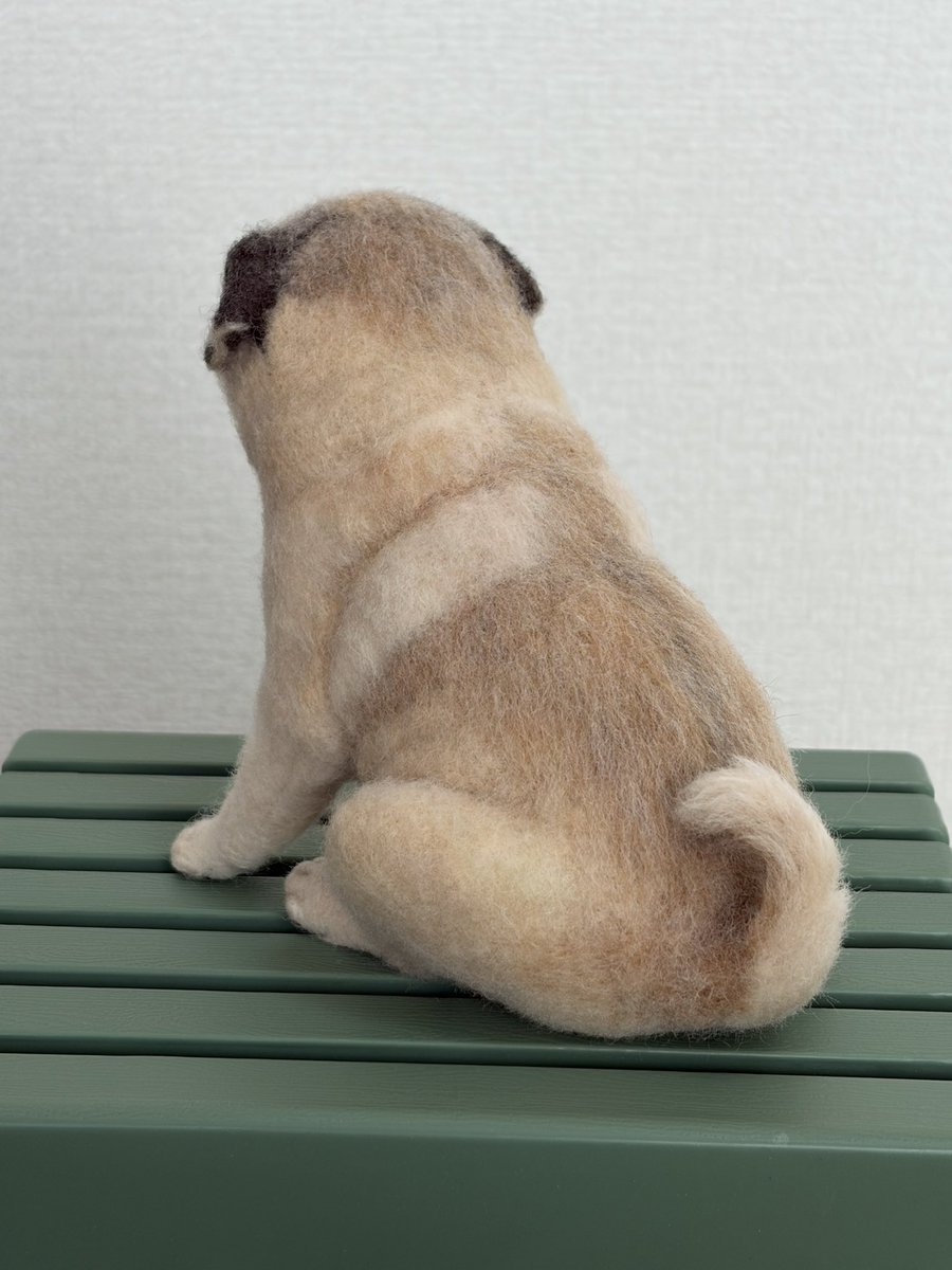 パグちゃん パグのどんちゃん車で大きい公園に行って散歩してみた！ #パグ