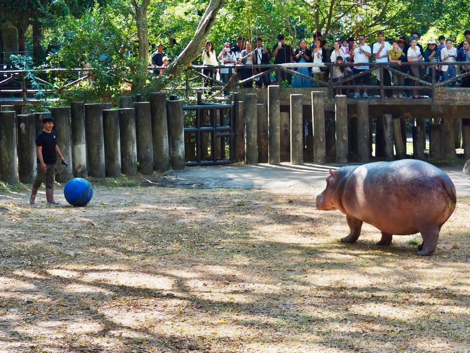 スナフキン (@d6QEn02NunQbmNd) / Posts / X