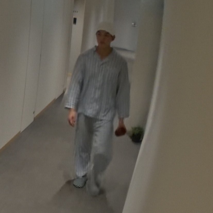 일본에서도 어김없이 나타난 승용띠니