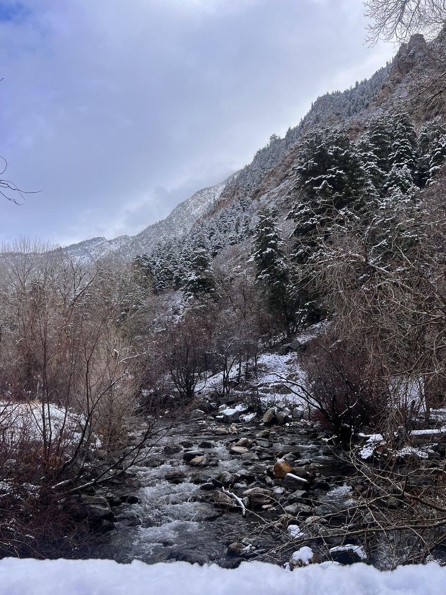 luna 𑣲 tweet media