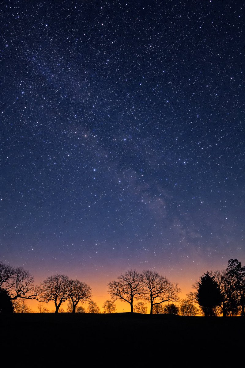 David A Byron tweet media