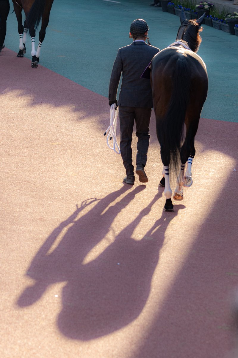 あちゃん tweet media