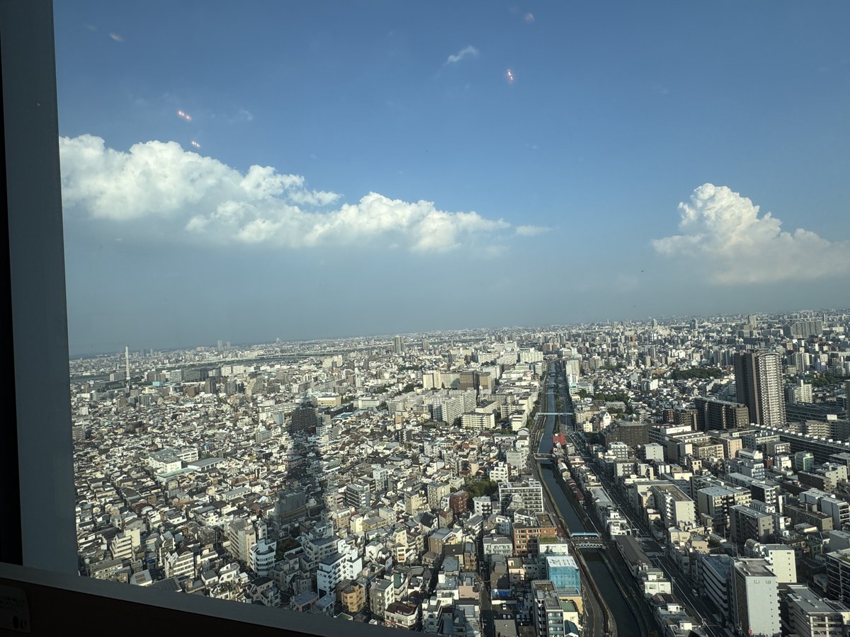 けー🍥 tweet media