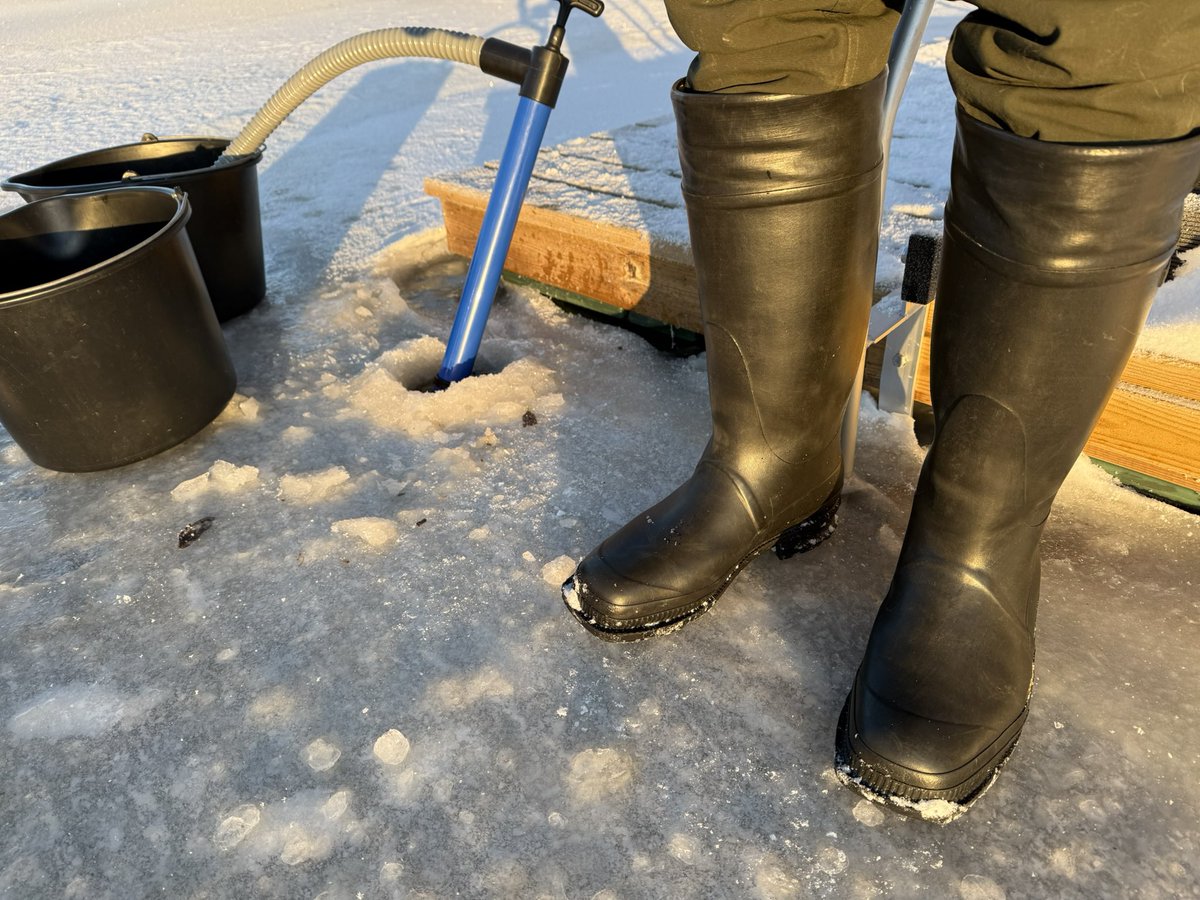 Rubman84 tweet media