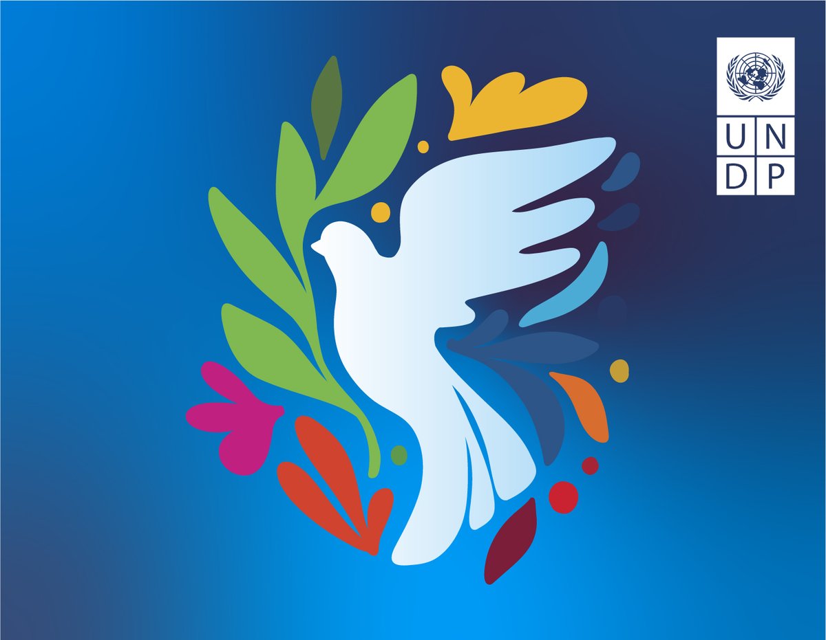 UNDP Germany tweet media