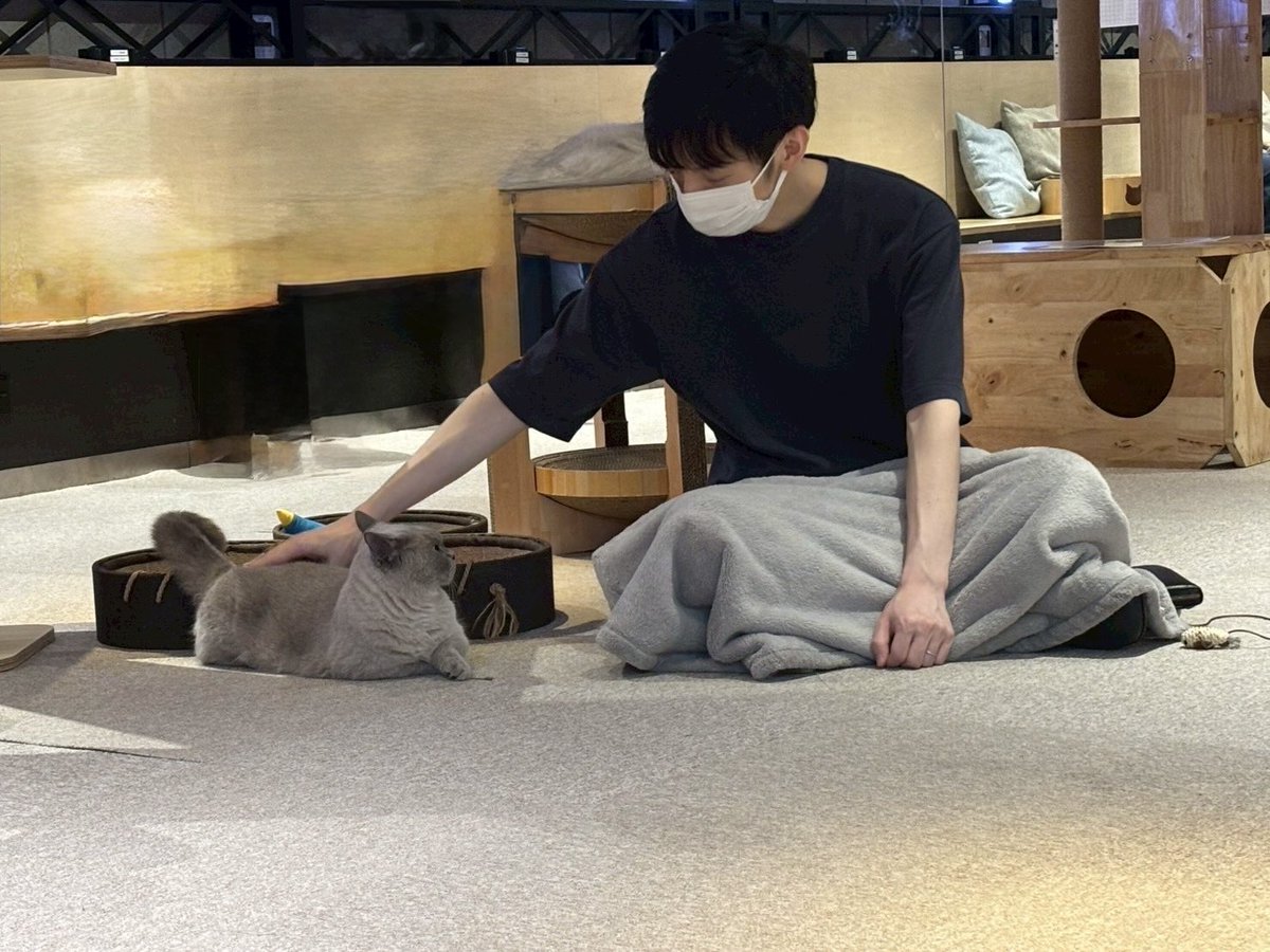 ふみ。 (@fumi39dc) / Posts / X