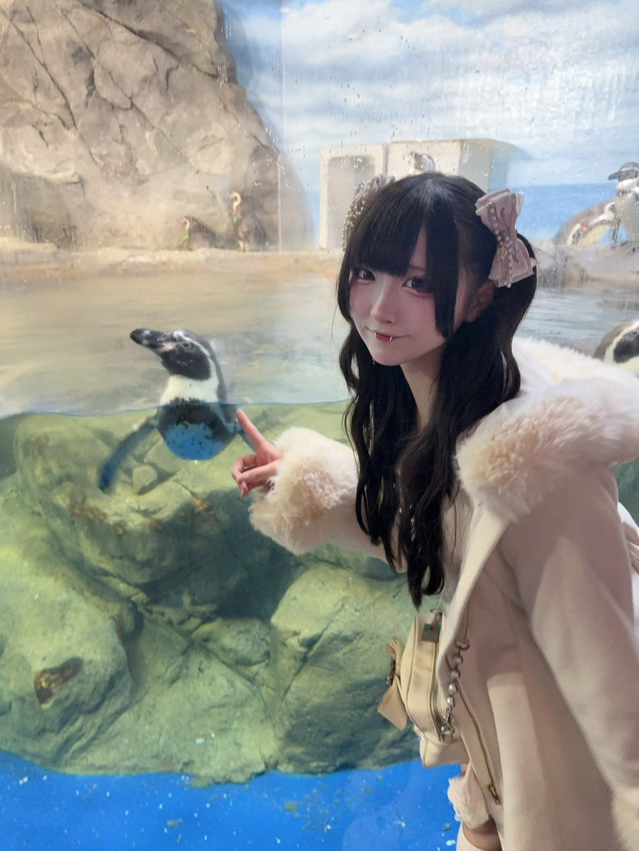 にゃち みてー(´｡✪ω✪｡｀)✧*。