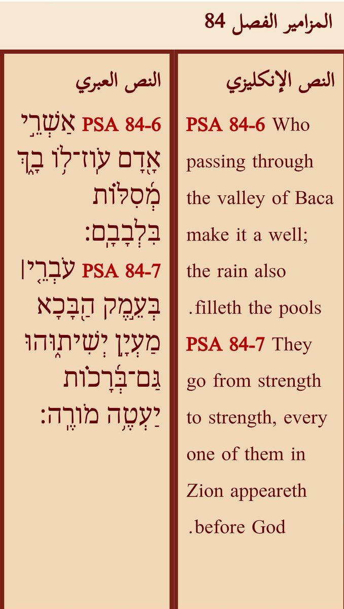 مصطفى مجدي tweet media