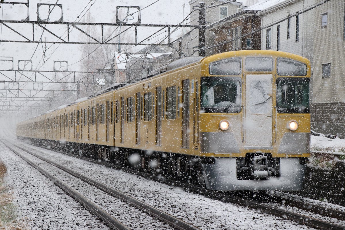 temmabashi's tweet photo. #2025年を写真4枚で振り返る
① カシオペア紀行返却
② 8084レ(64重連)
③ 西武雪鉄
④ 8584レ(PF代走)
いろいろな別れがあった1年でした https://t.co/CV27c9NczT