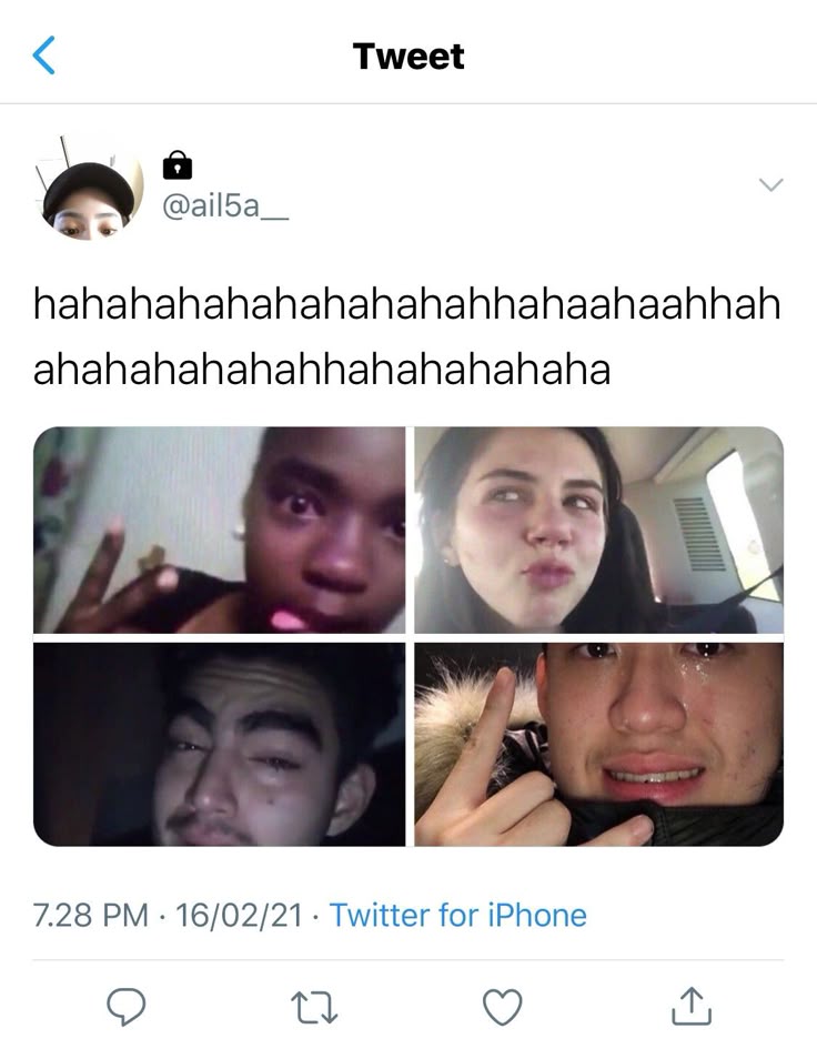 punny tweet media