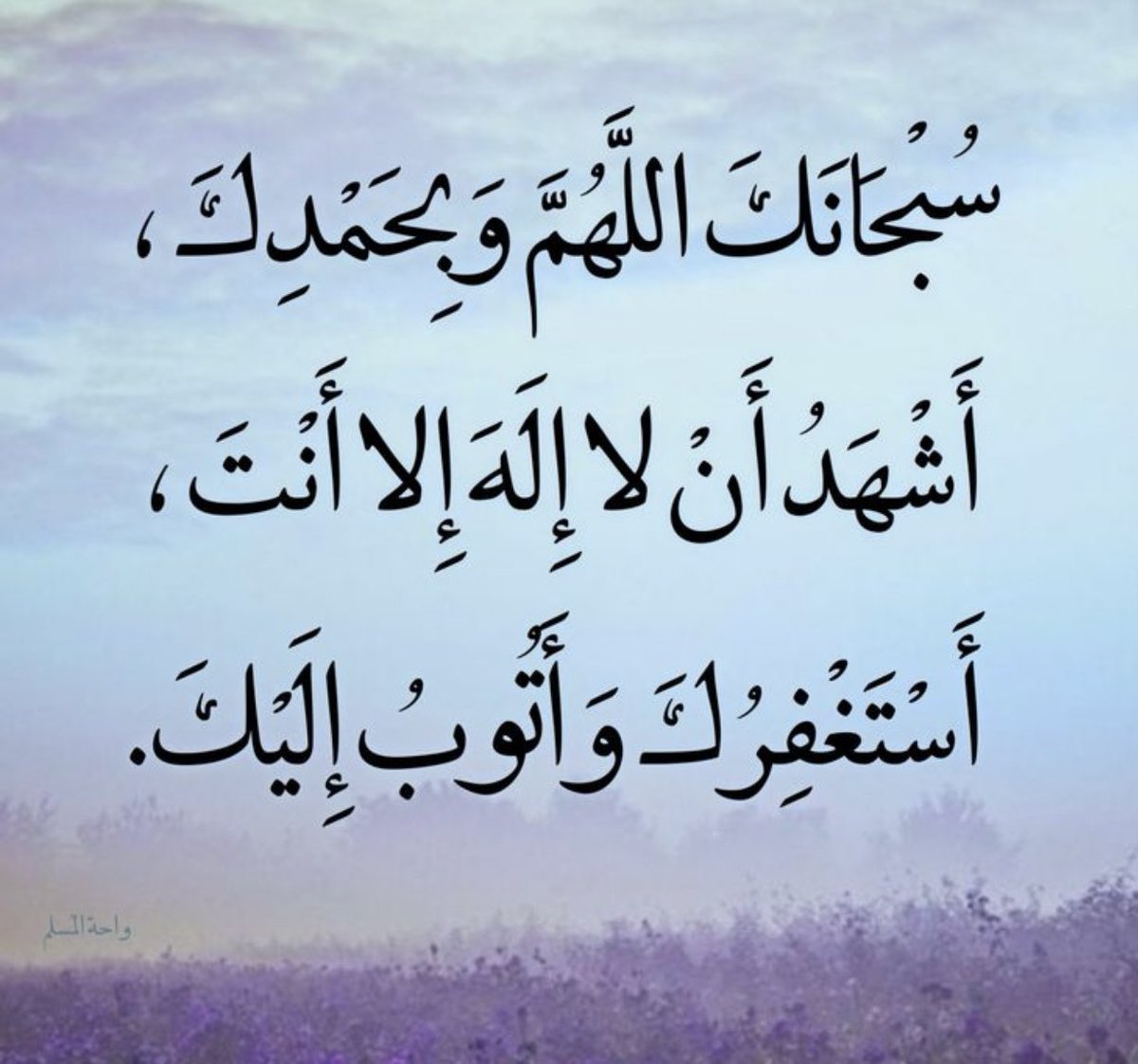 ——— tweet media