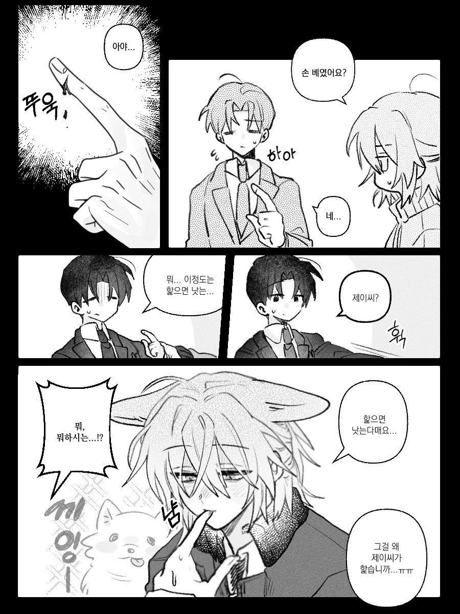 댕댕이 tweet media