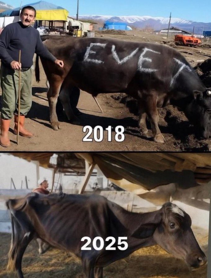 HAYIR DEMEYİ ÖĞRENDİNİZ Mİ ?😃😃