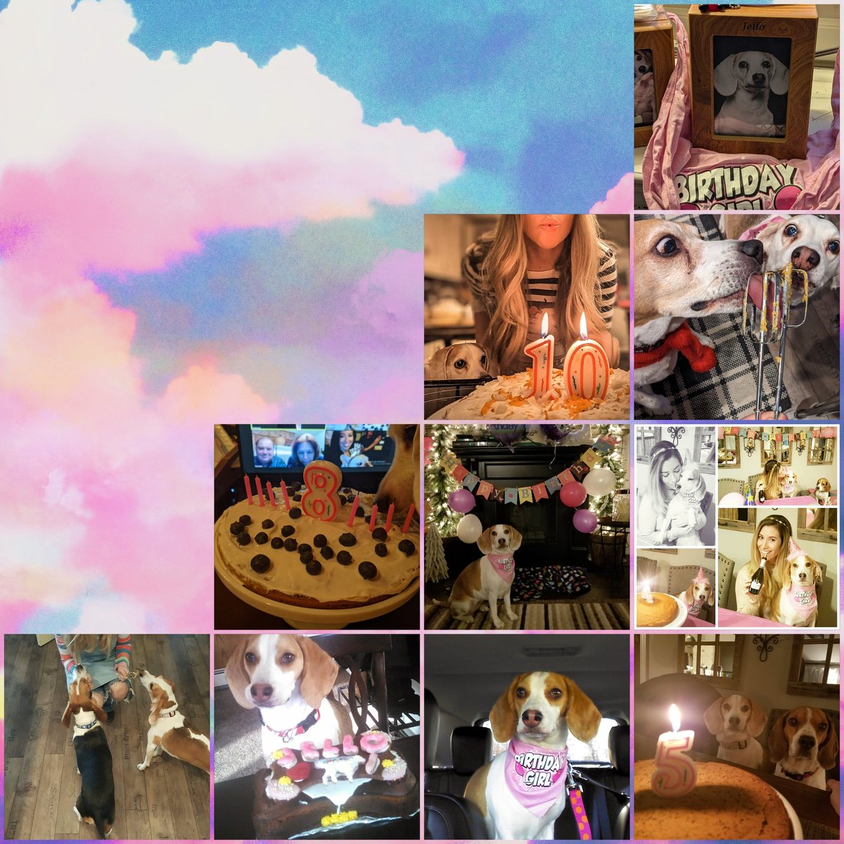 Jello and Hankface 🌈🌈😇😇 tweet media