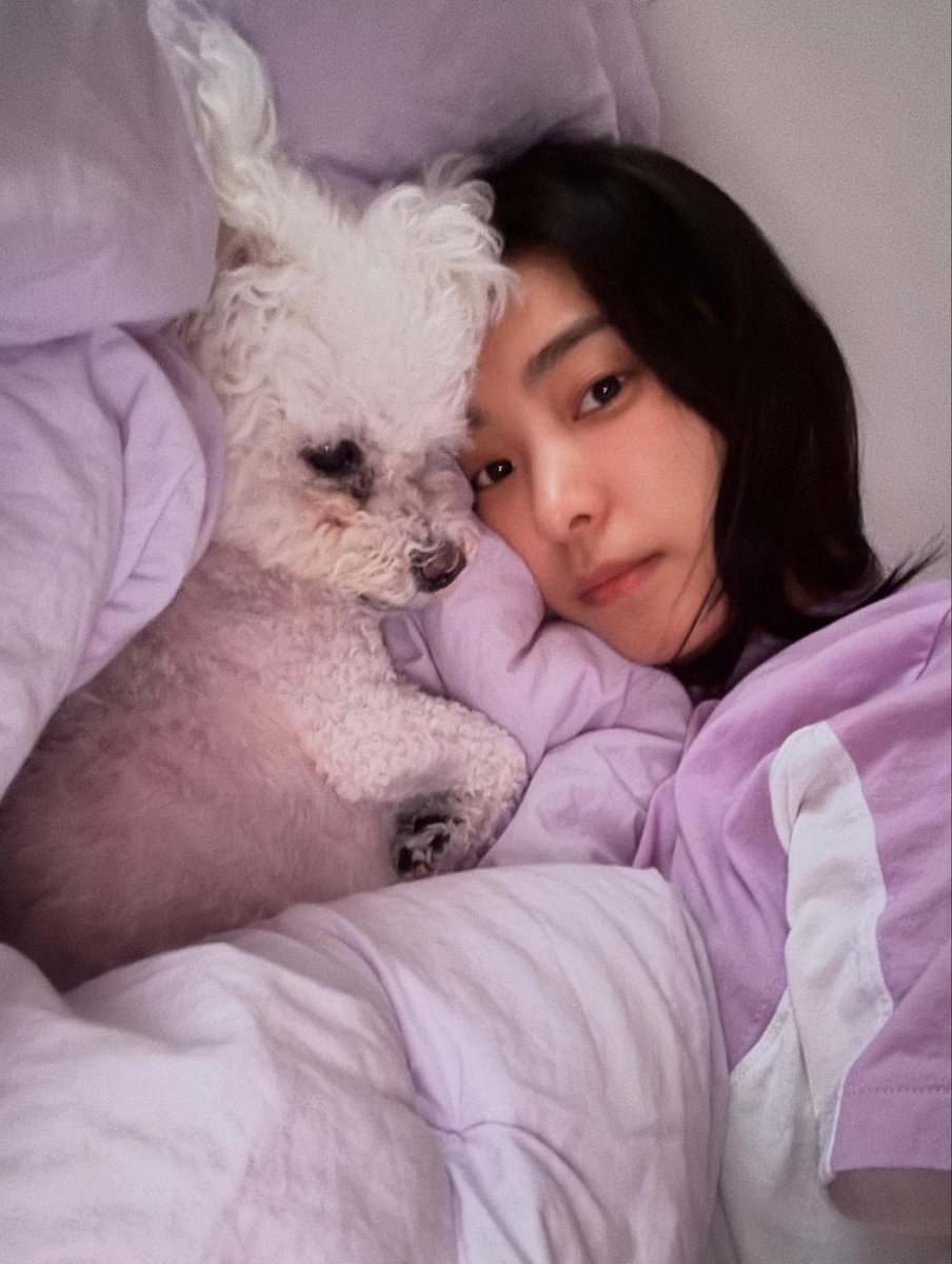 Graceful tweet media