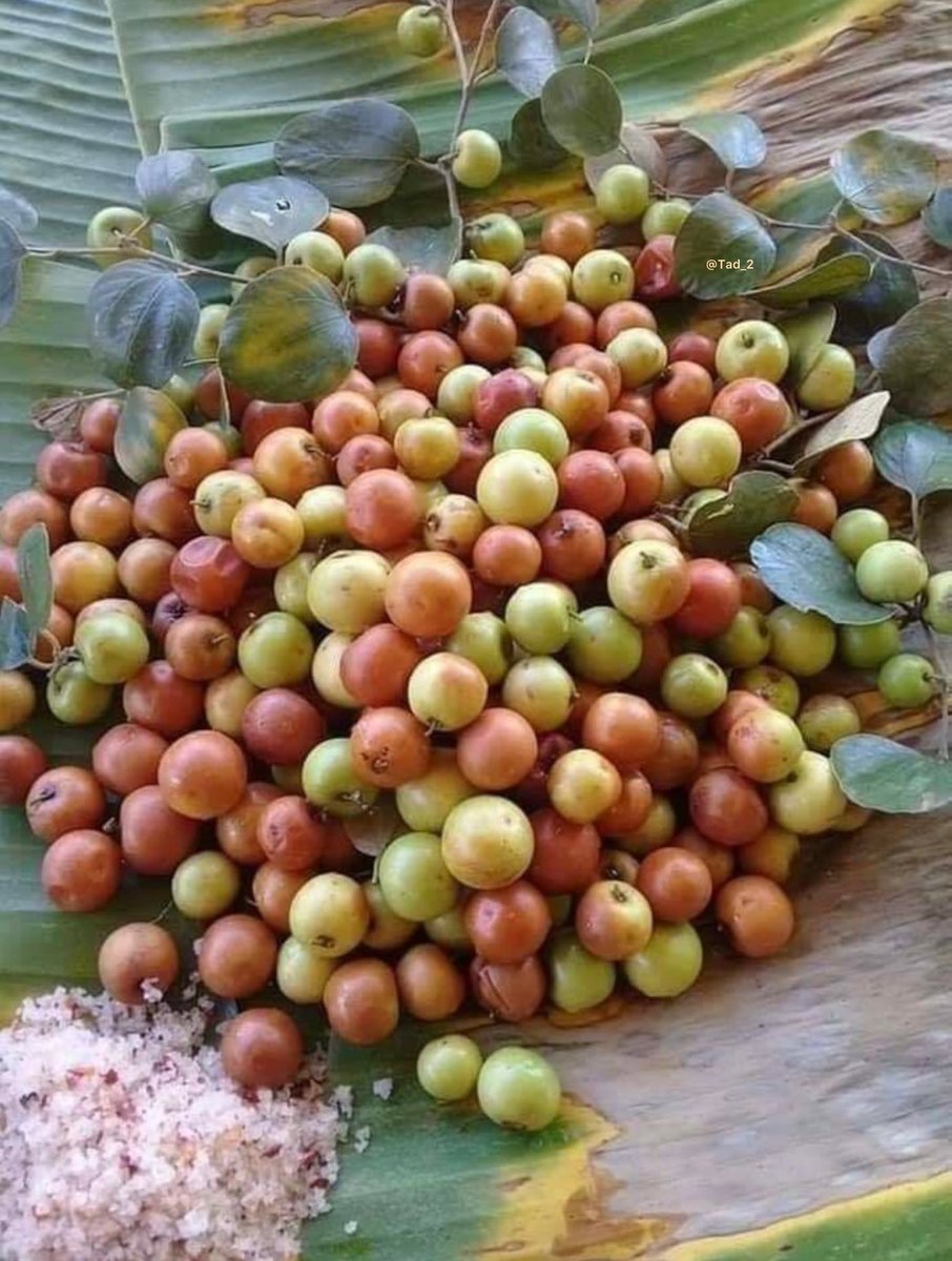 أدفع ثروتي كلها اللي في البنك اذا حد عرف
 أسم هذي الثمره ؟ .🗯️🗯️