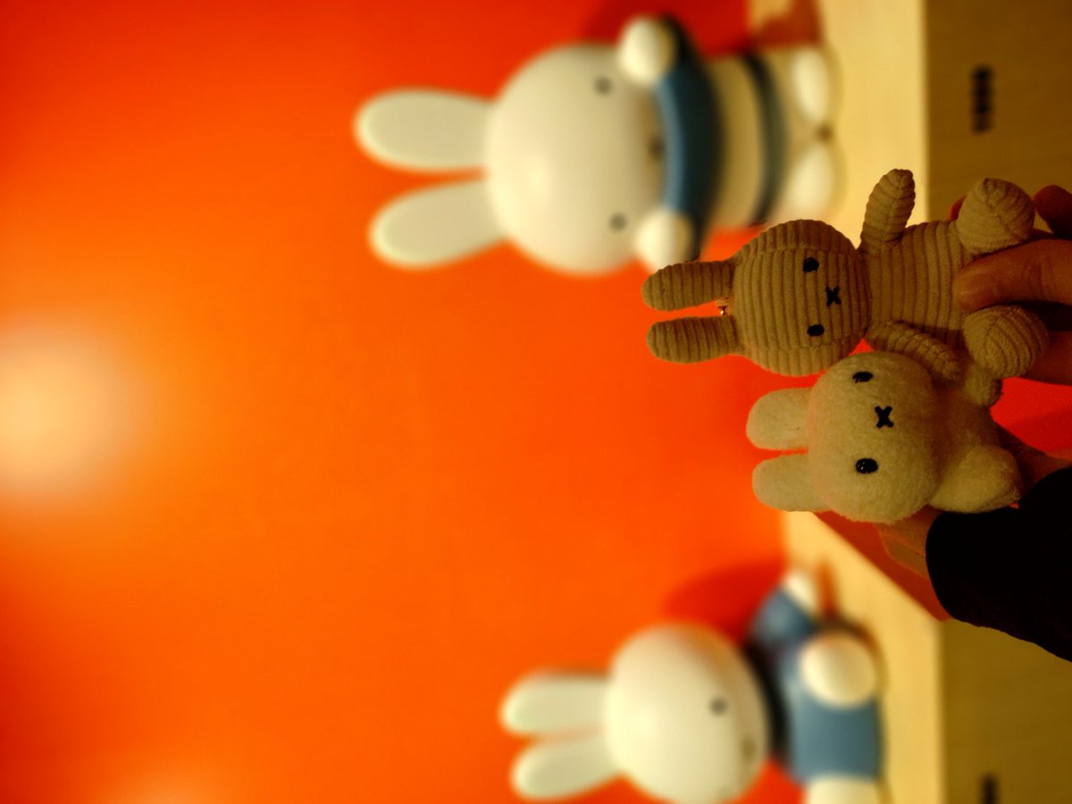 tuna/ouj tweet media