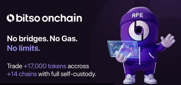 BullishMarketCap tweet media