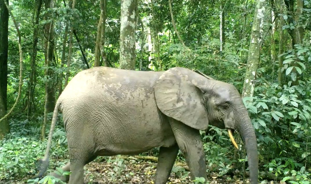今年よかったことは、だいぶ健康に過ごせたこと、引っ越しをしたこと、デッサンの練習がちょっとだけどできたこと、研究がちょっと進んだこと！
今年も1年お世話になりました！