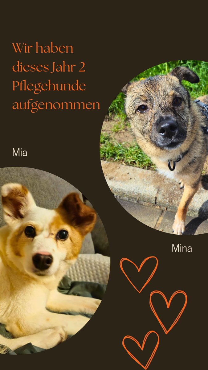 𝐤𝐥𝐢𝐦𝐟𝐲 tweet media