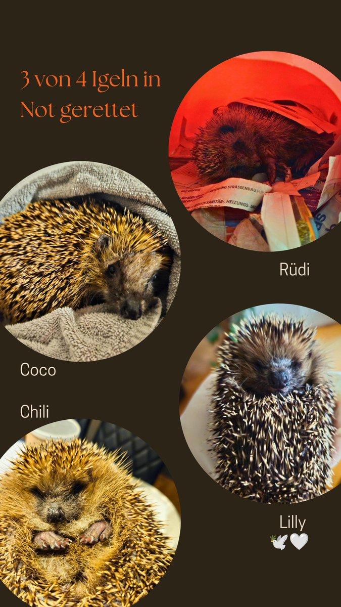 𝐤𝐥𝐢𝐦𝐟𝐲 tweet media