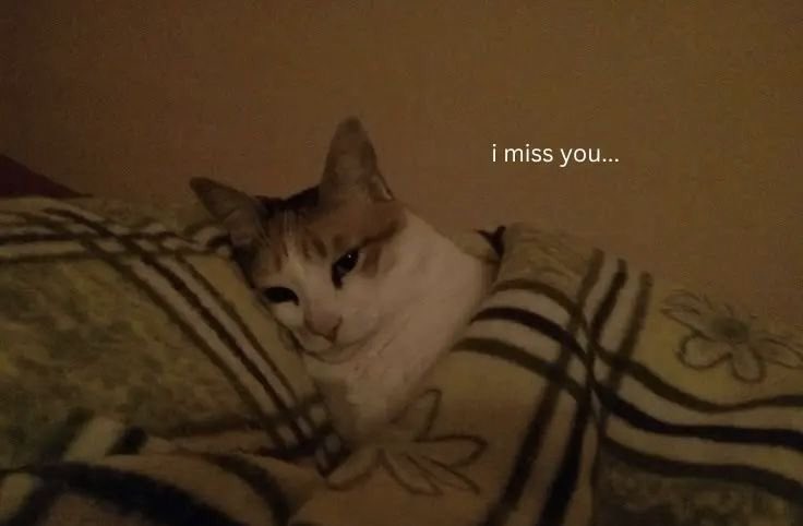 BolyMaw's tweet photo. https://t.co/dQe4v9e52c