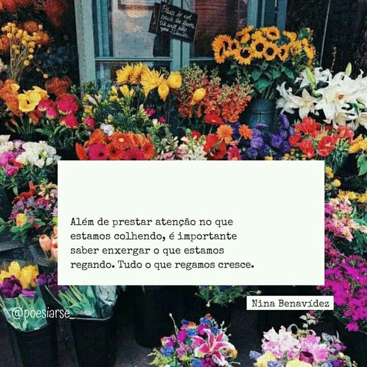 fabiprj's tweet photo. Sou sortuda,  abençoada e por isso vou colher todos os frutos bons que anseio muito. https://t.co/o30FQLcwC1